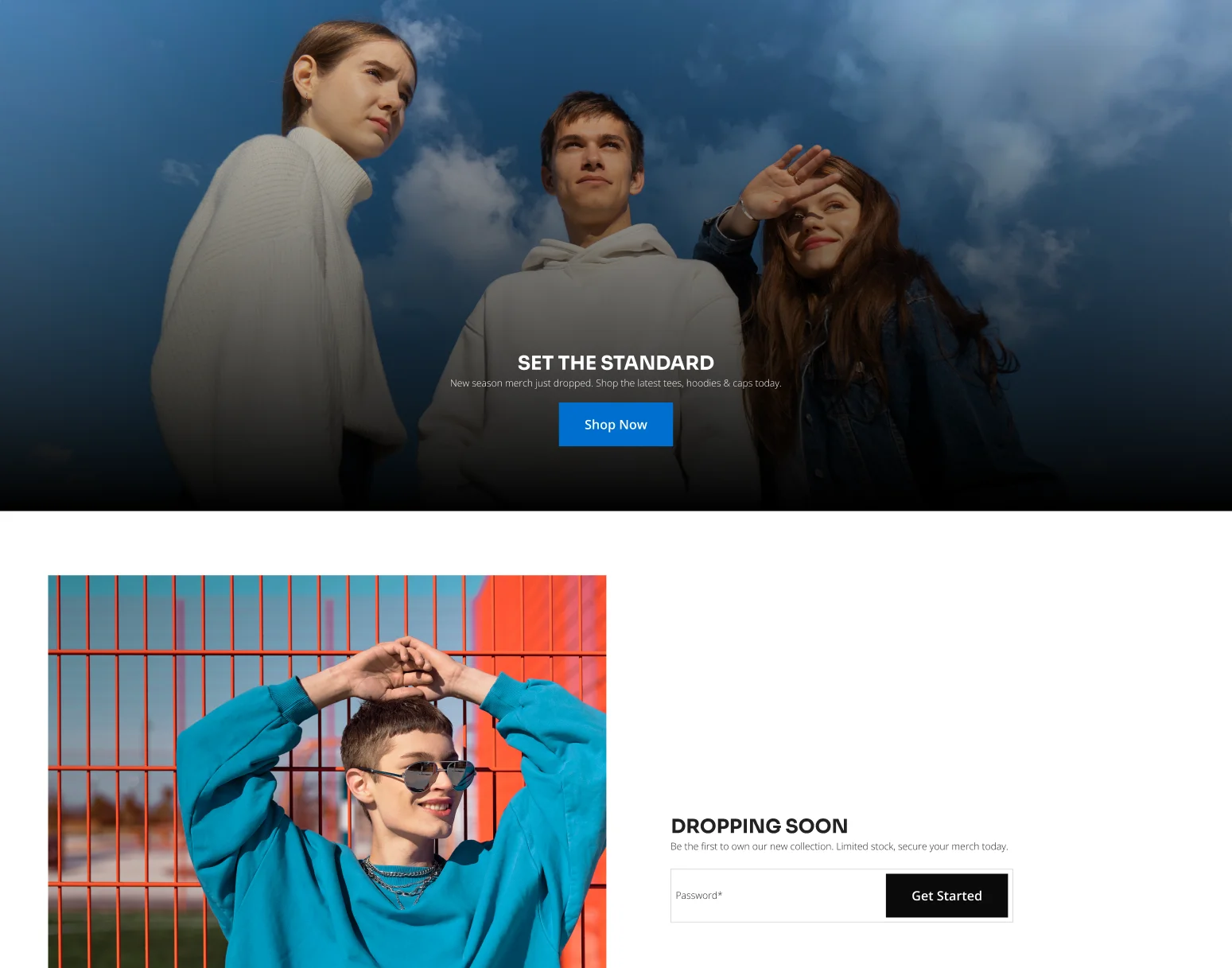 stndrd- e commerce 3