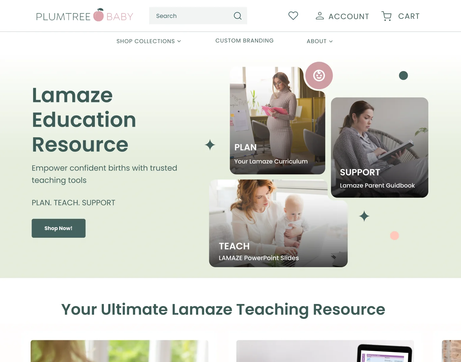 Plum Tree Baby - EDUCATION 1